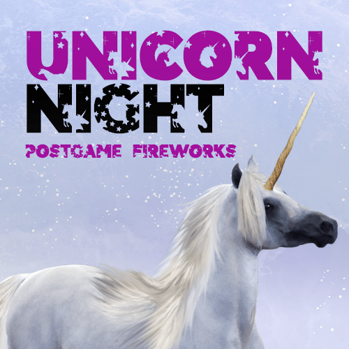 Unicorn Night | Fireworks