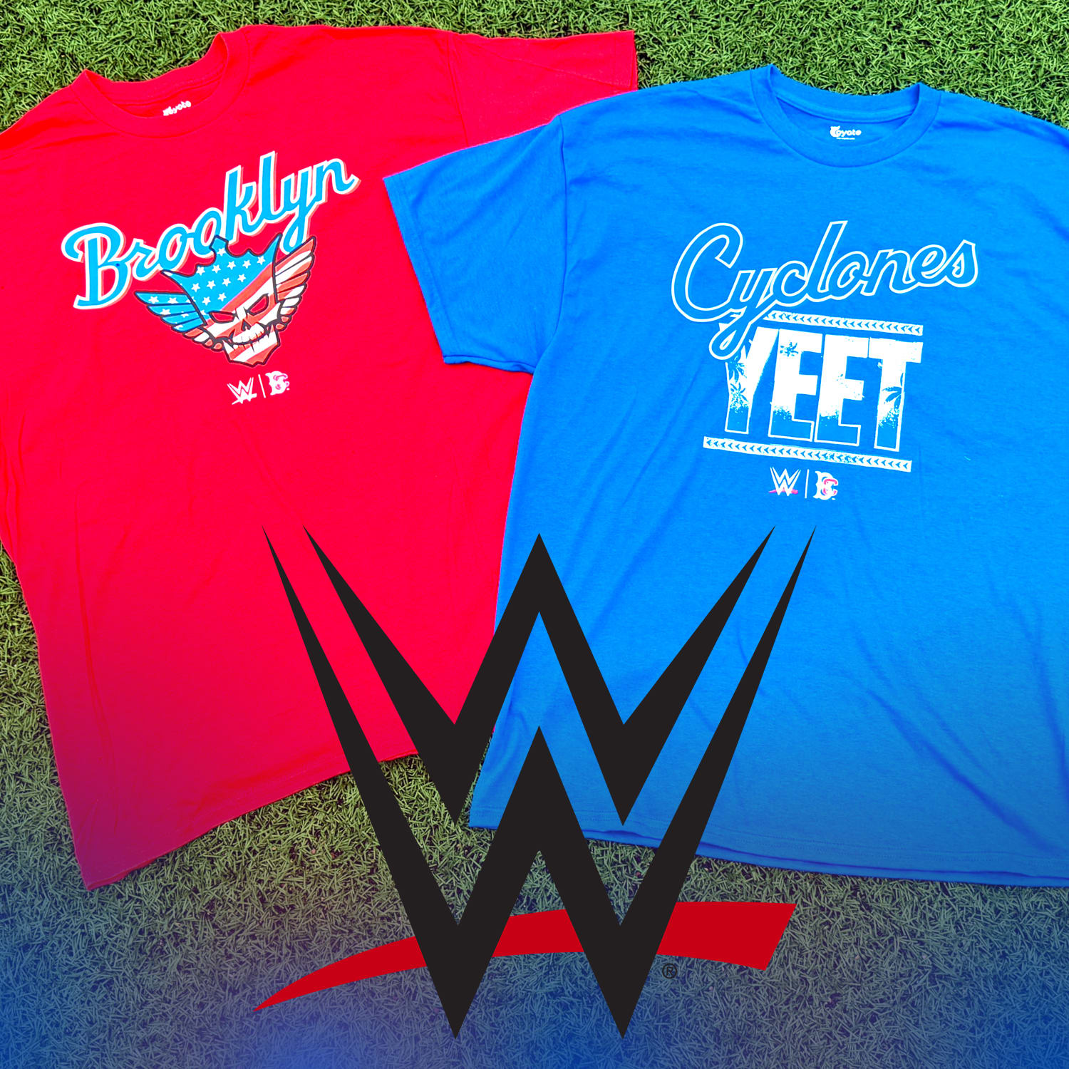 WWE T-Shirt Package