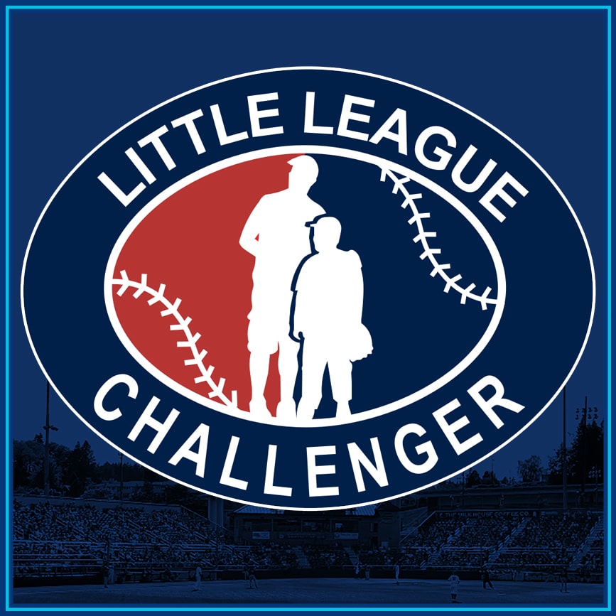 Challenger Baseball Game