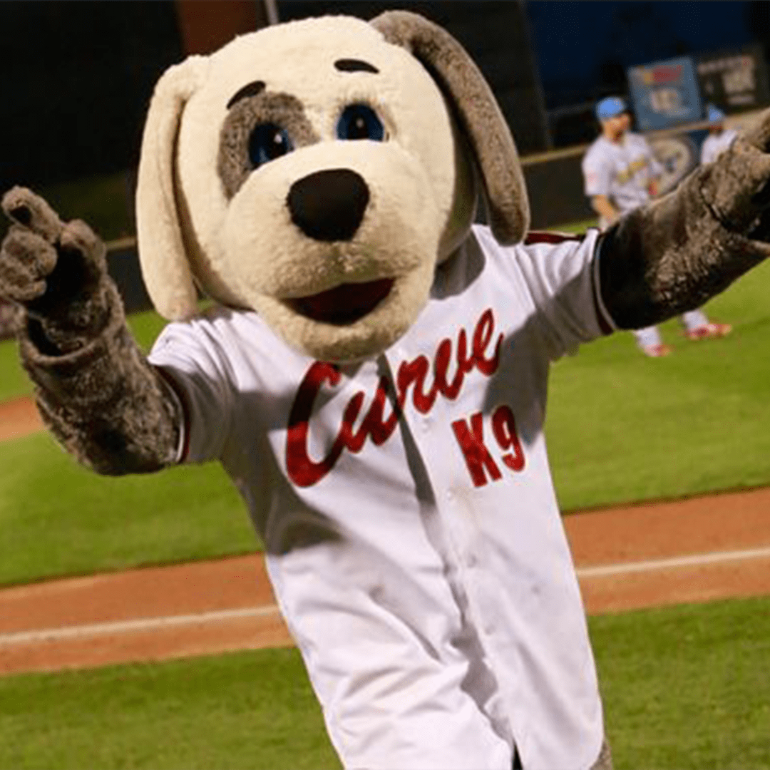 Bark in the Park Night