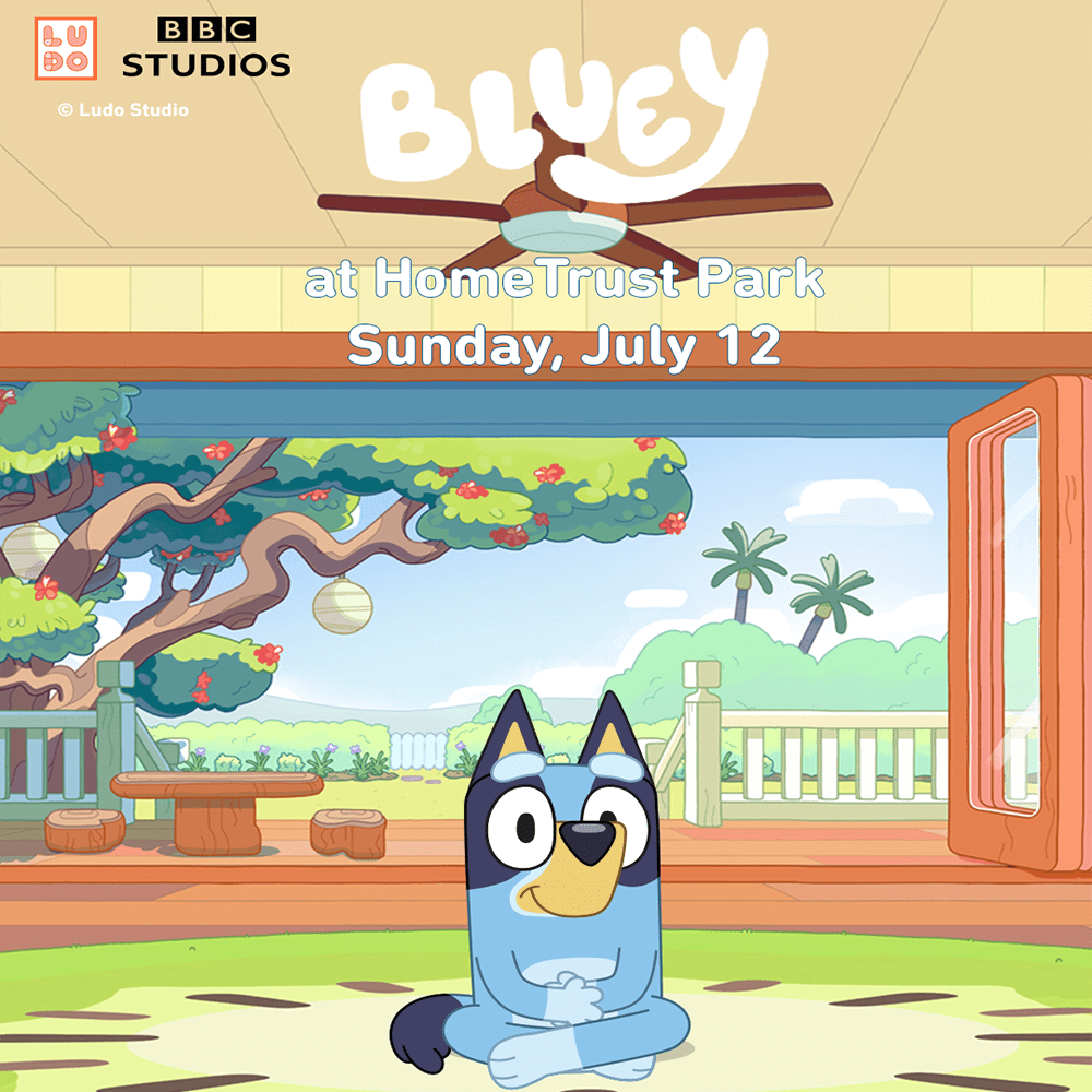 Bluey Night