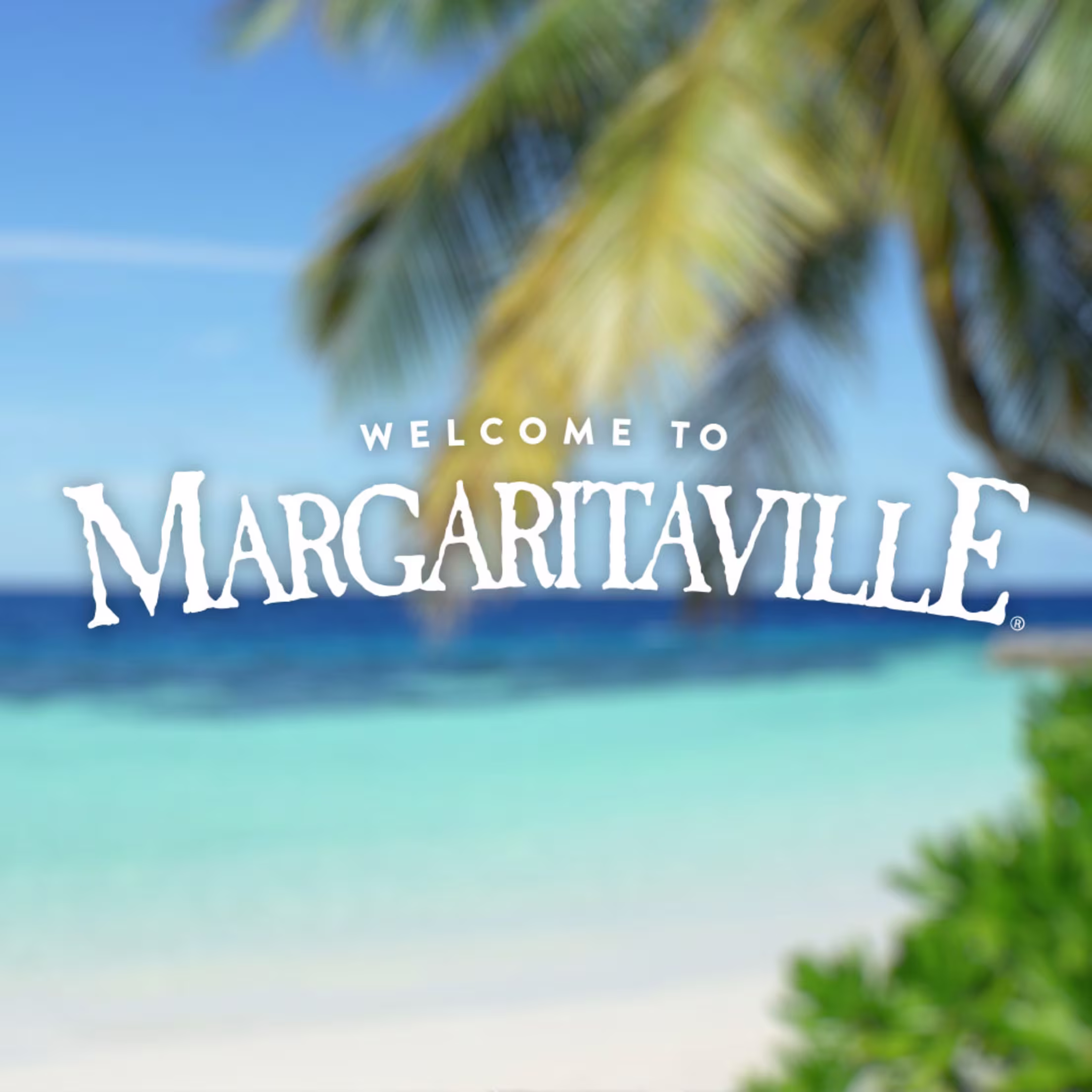 Margaritaville Night
