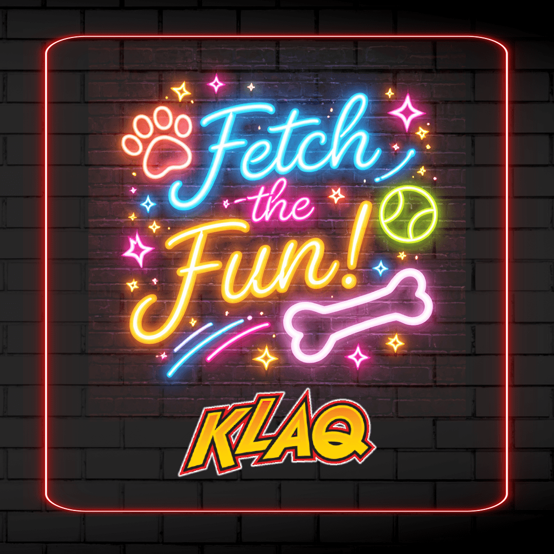 Fetch the Fun Friday