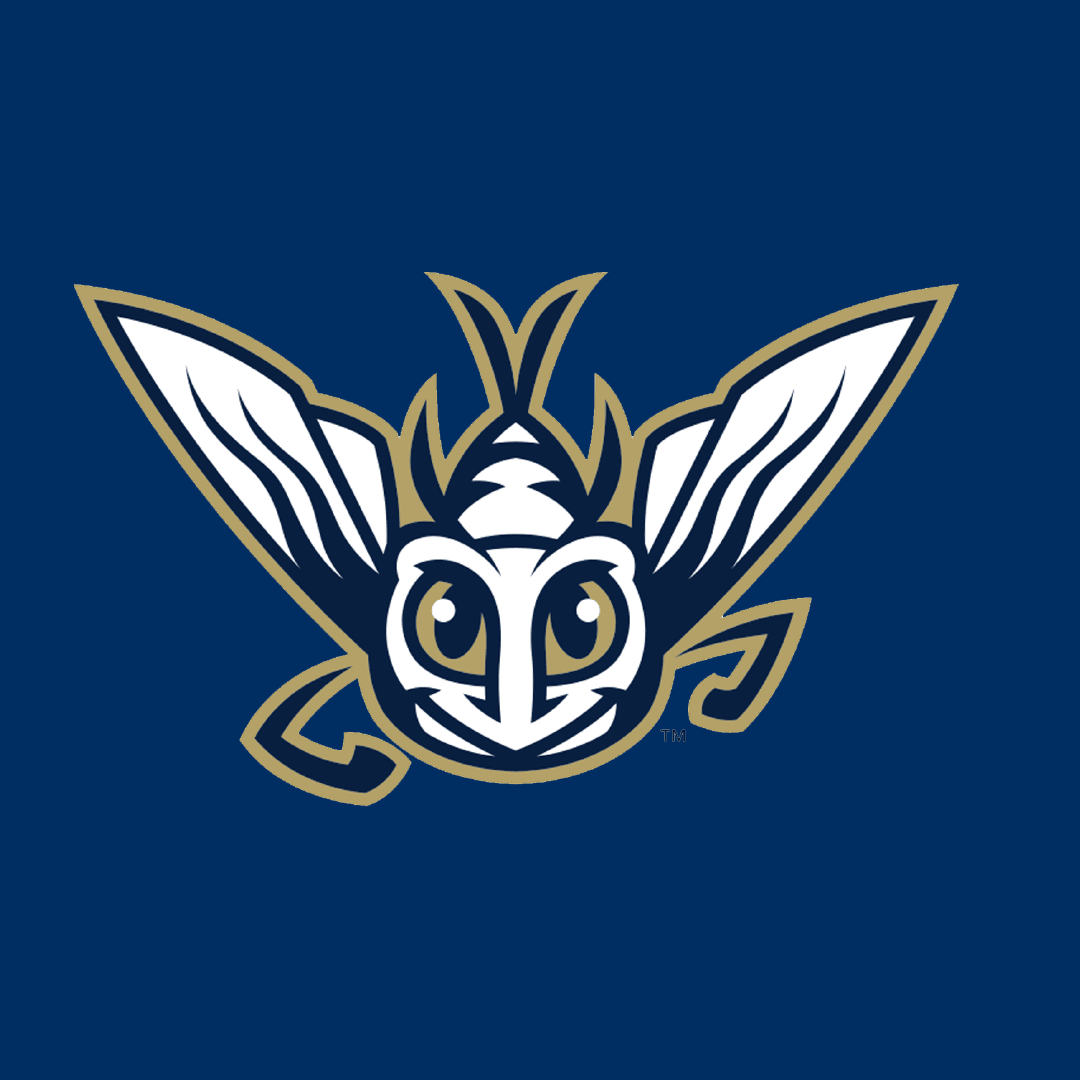 Harrisburg Mayflies