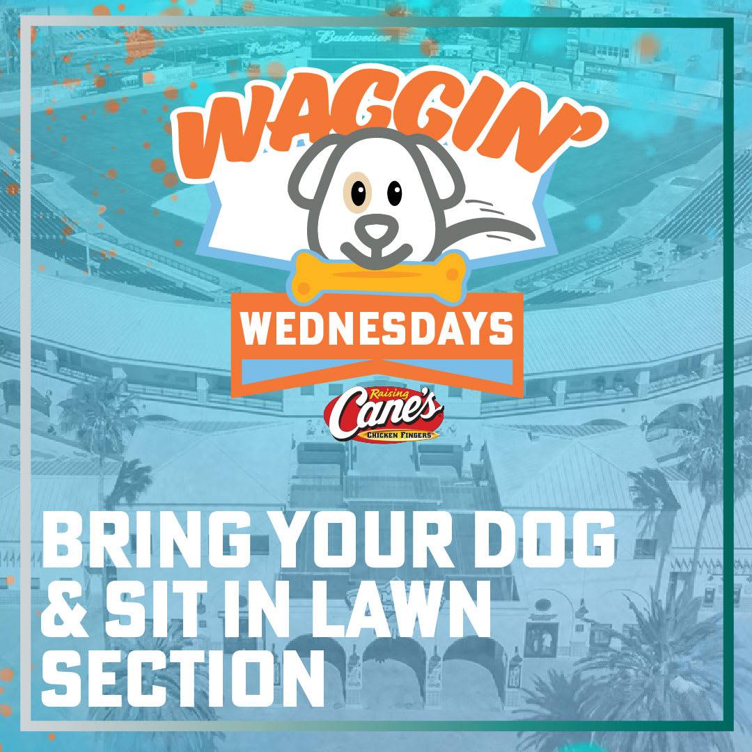 Waggin' Wednesdays