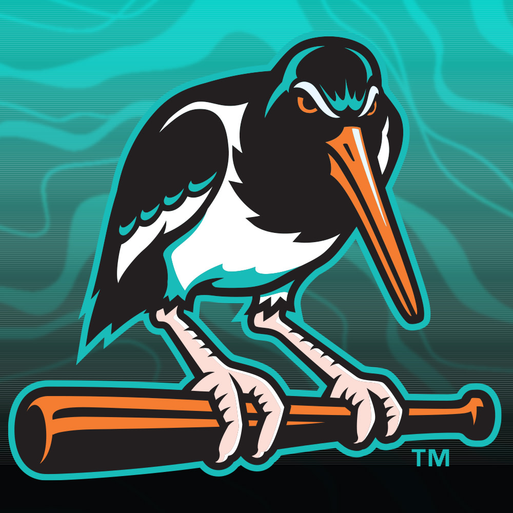 Chesapeake Oyster Catchers
