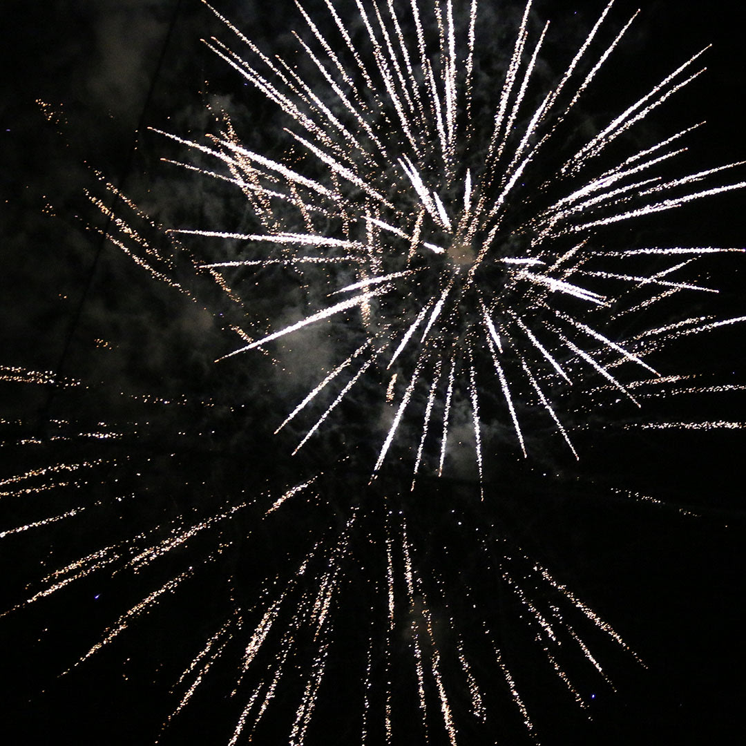 Family Friday + Fireworks
