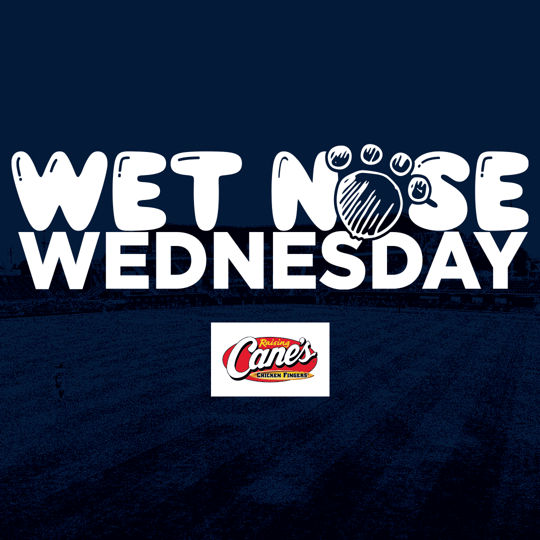 Wet Nose Wednesday