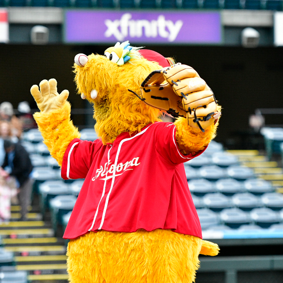 Everybody Loves Curve Baseball Night