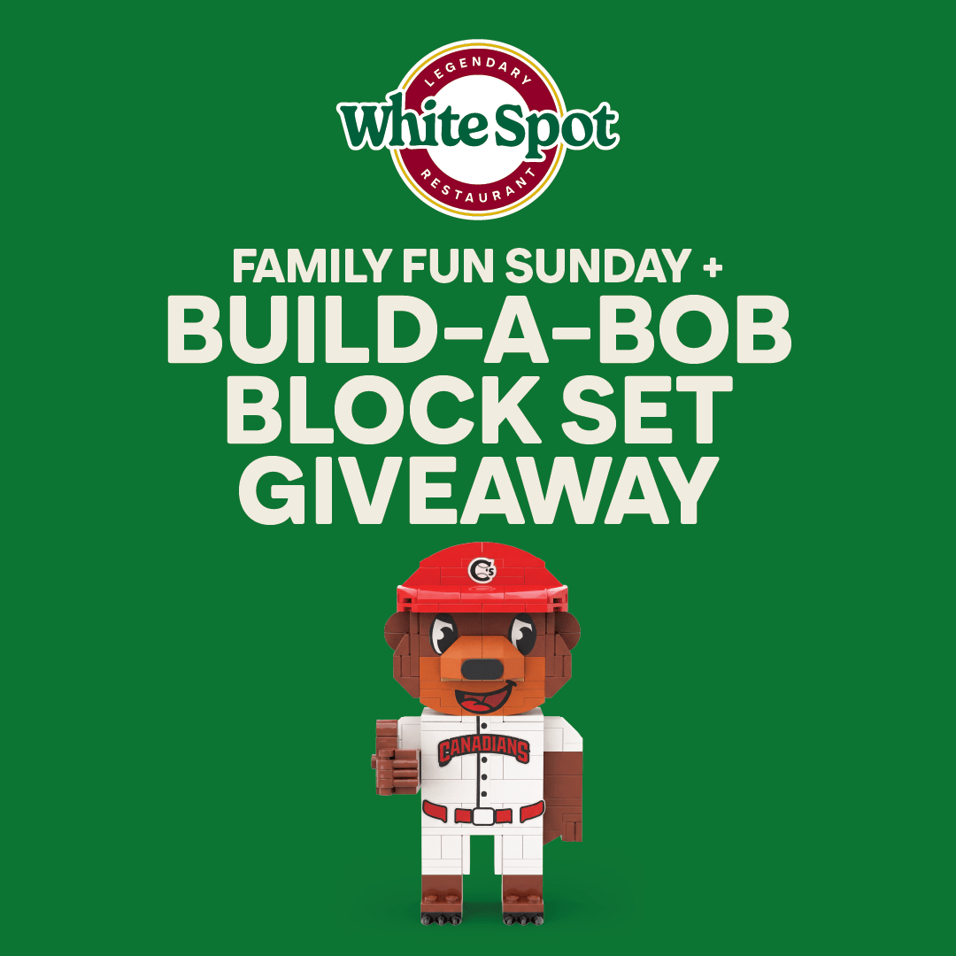 Build-A-Bob Block Set