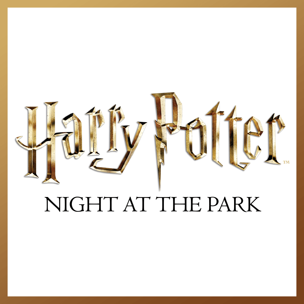 Harry Potter Night