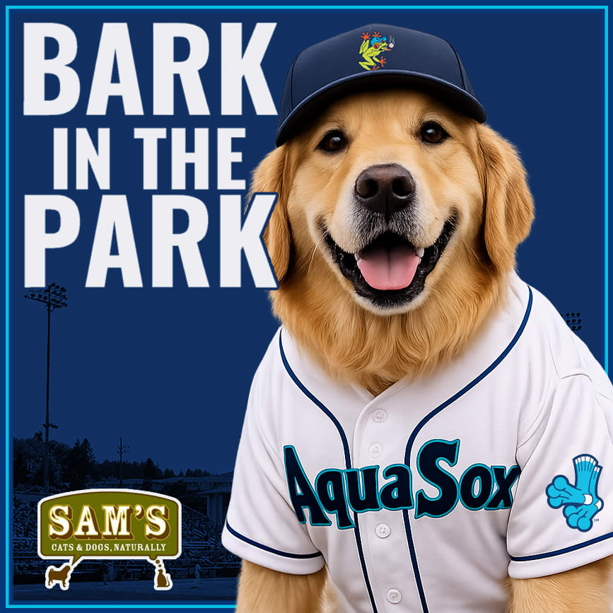 Bark In The Park
