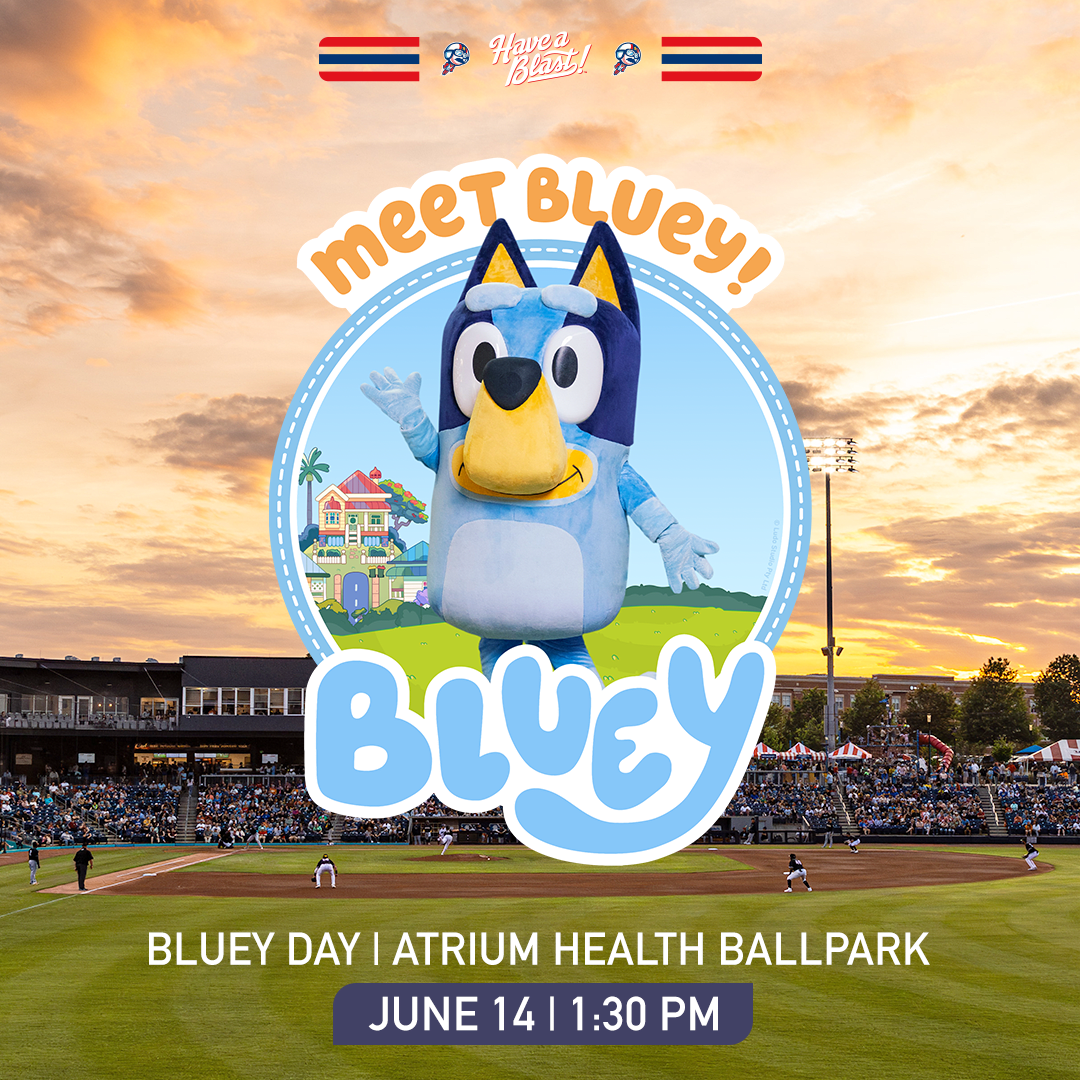 BLUEY at the Ballpark