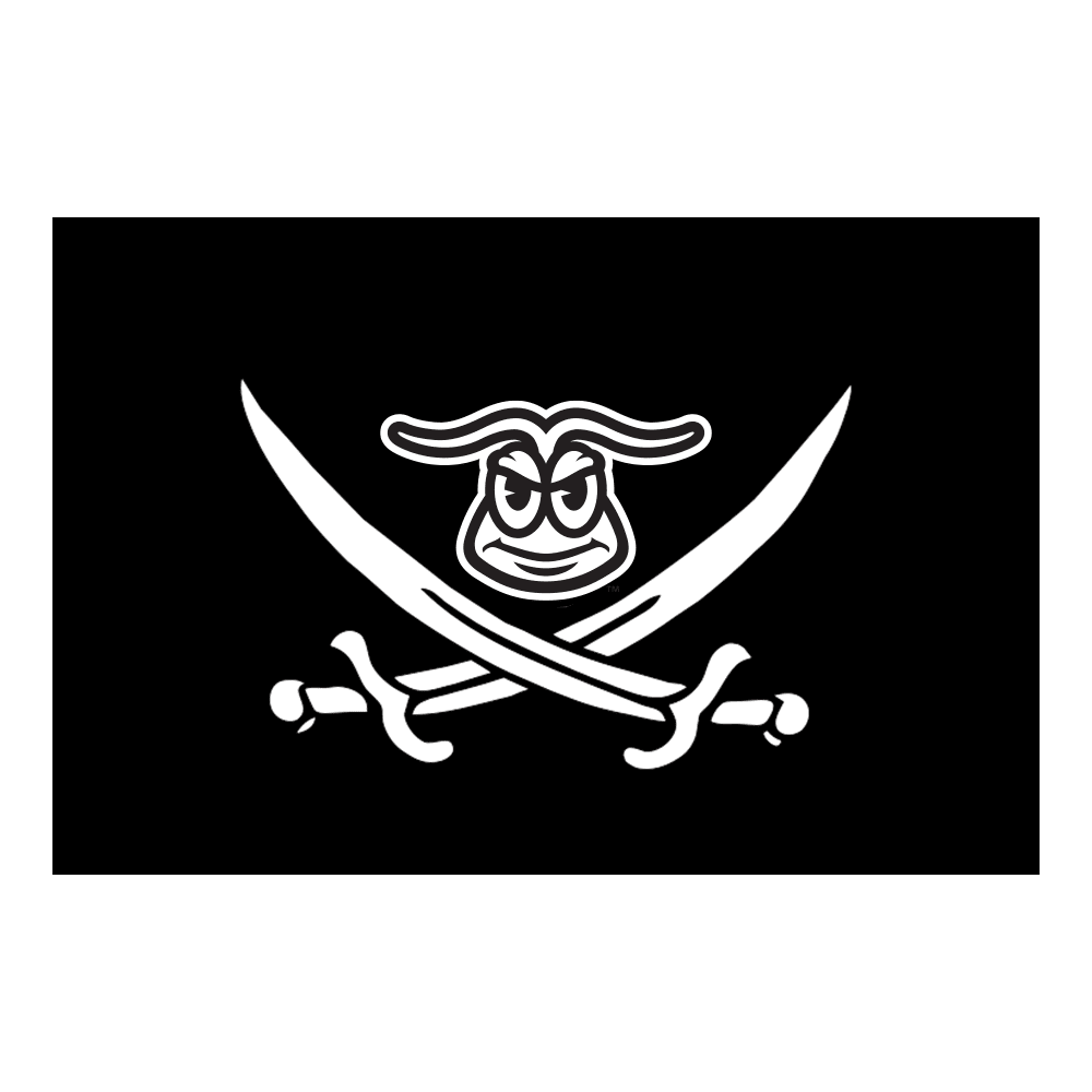 Pirate Palooza