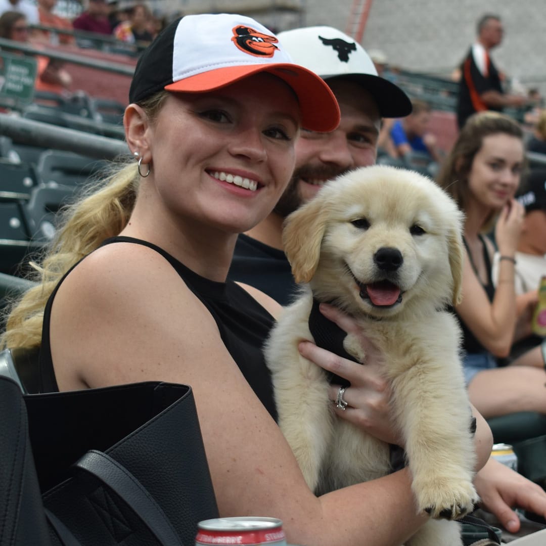 WMDT Wag Your Tail Tuesday Presented By Concord Pet Foods & Supplies