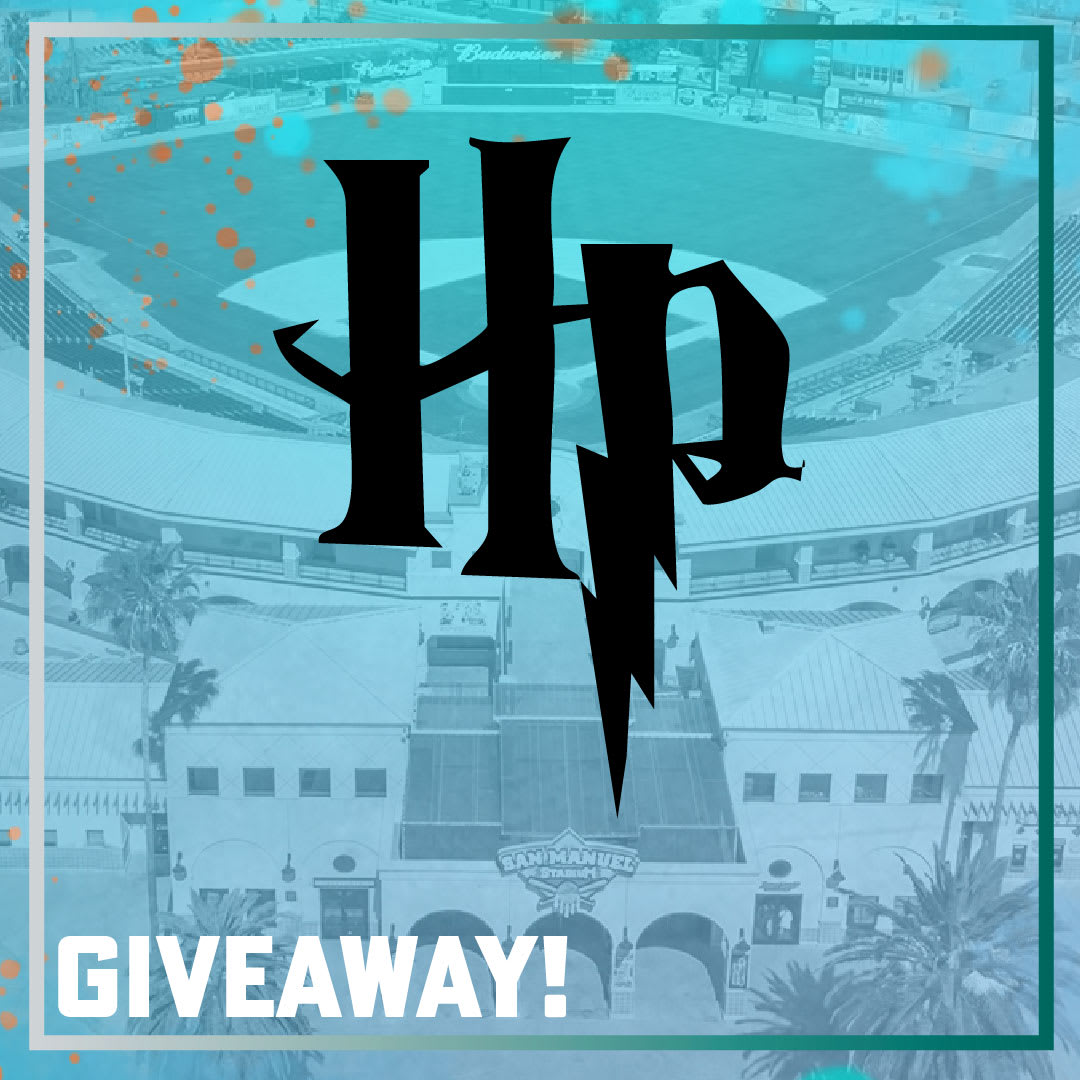 Harry Potter House Banner Giveaway!