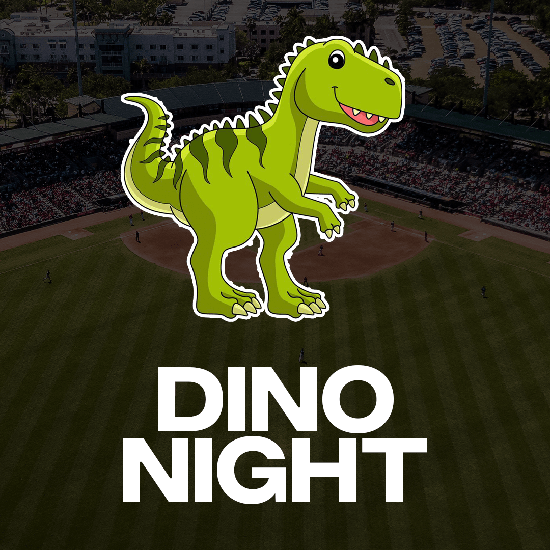 DIno Night