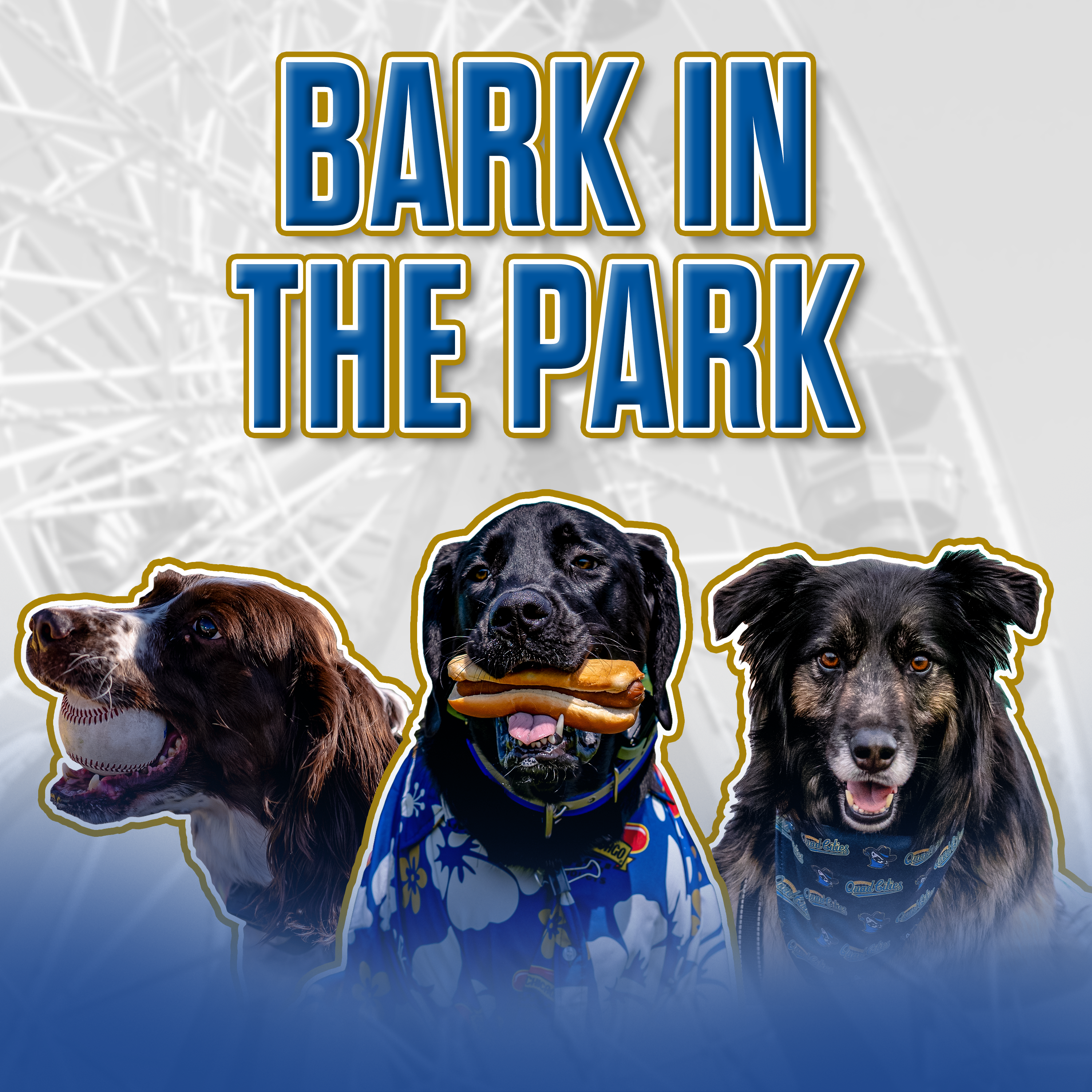 Bark in the Park