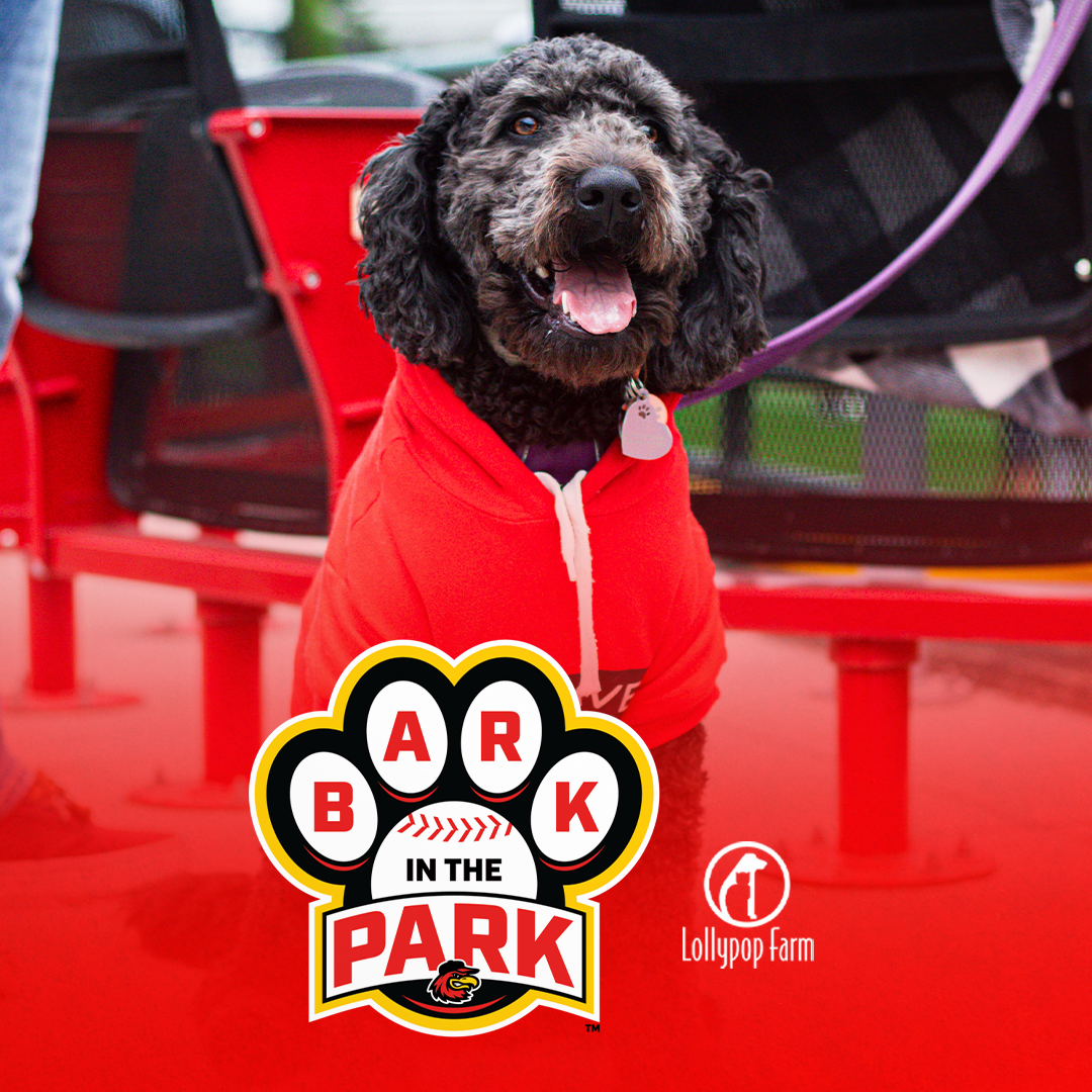 Bark In The Park