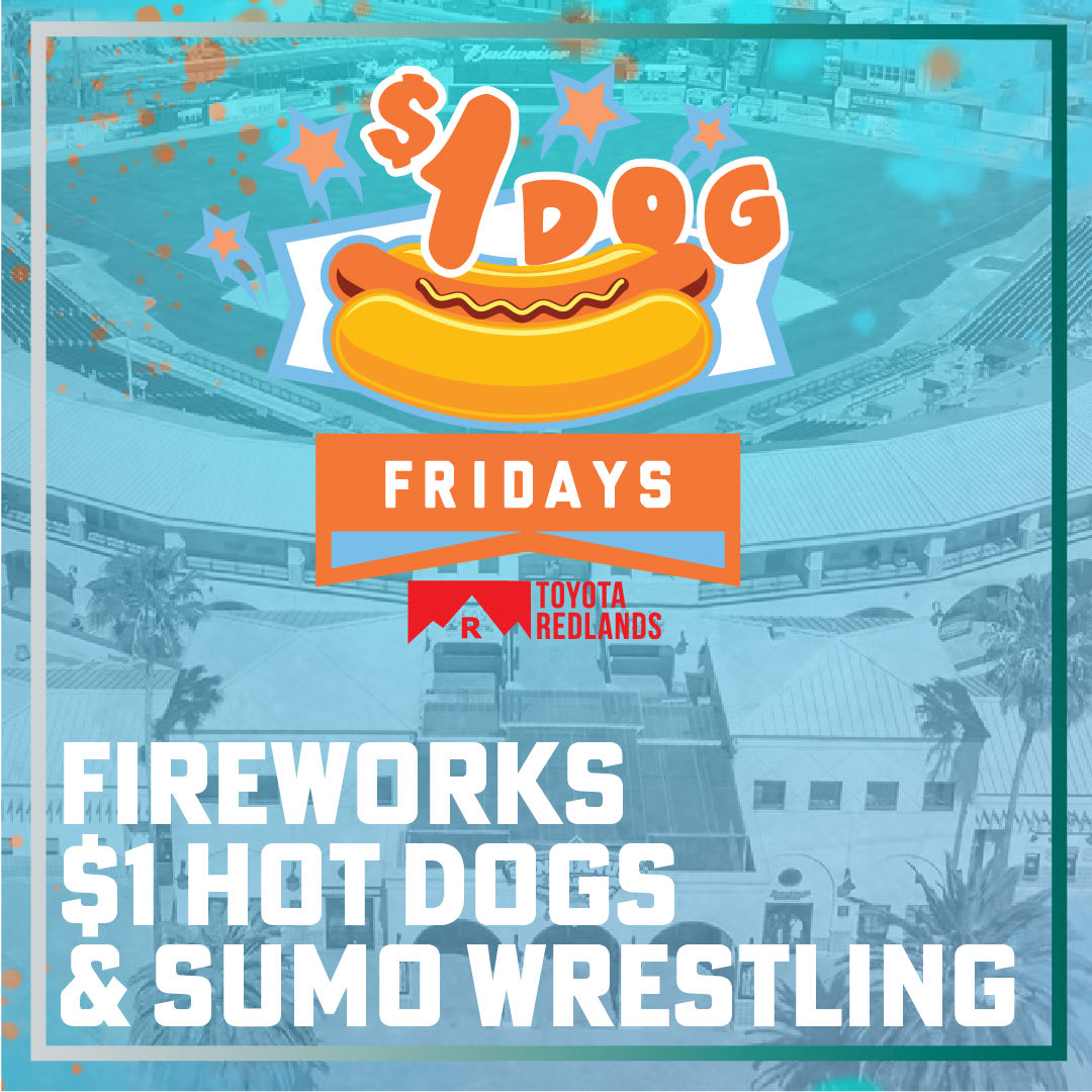 Sumo Wrestling Night