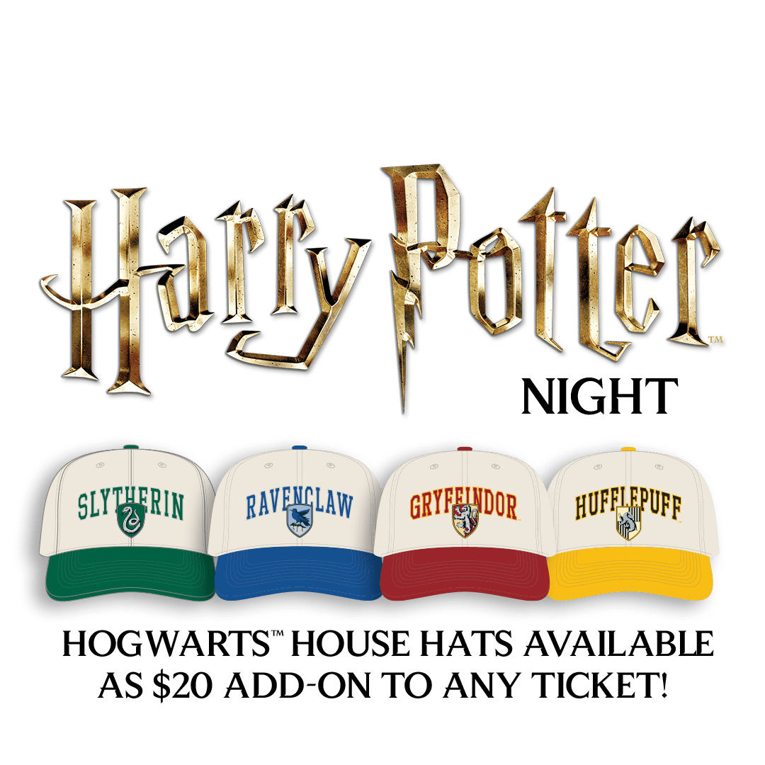 Harry Potter Night