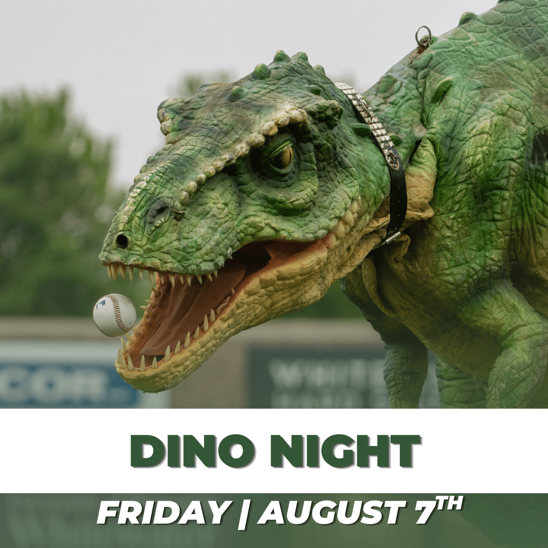 Dino Night