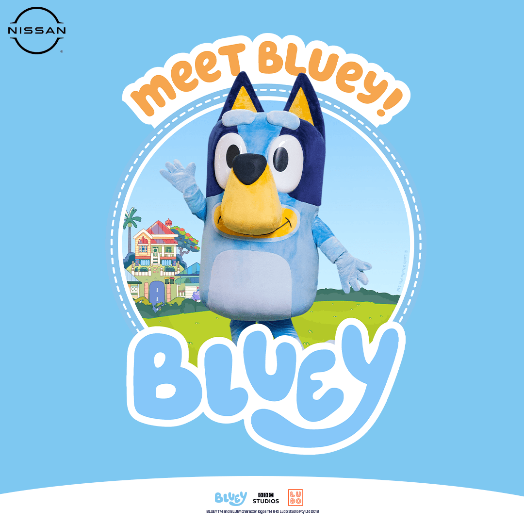 Bluey Appearance