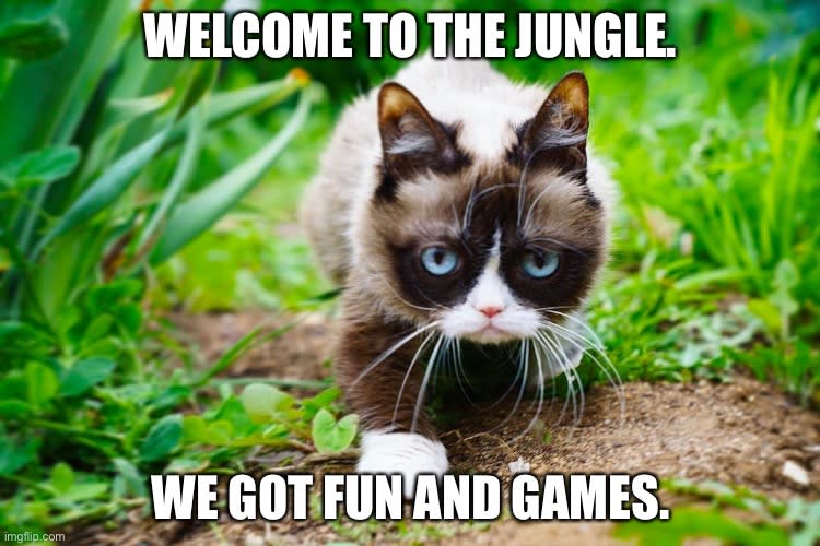 JUNGLE Night