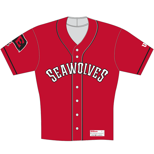 Erie cheap seawolves jersey