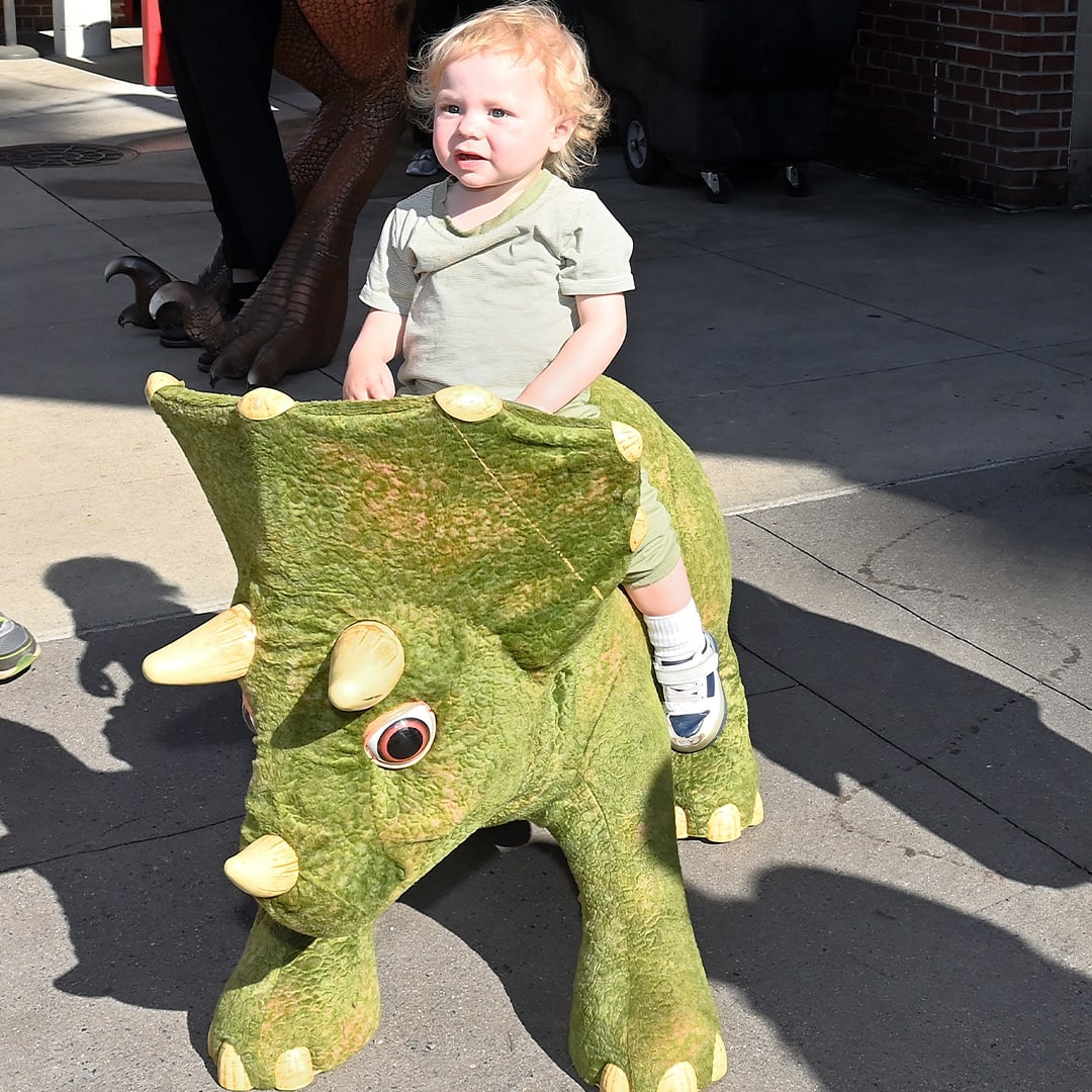 Dinosaur Day: Interactive Dinosaur Exhibits