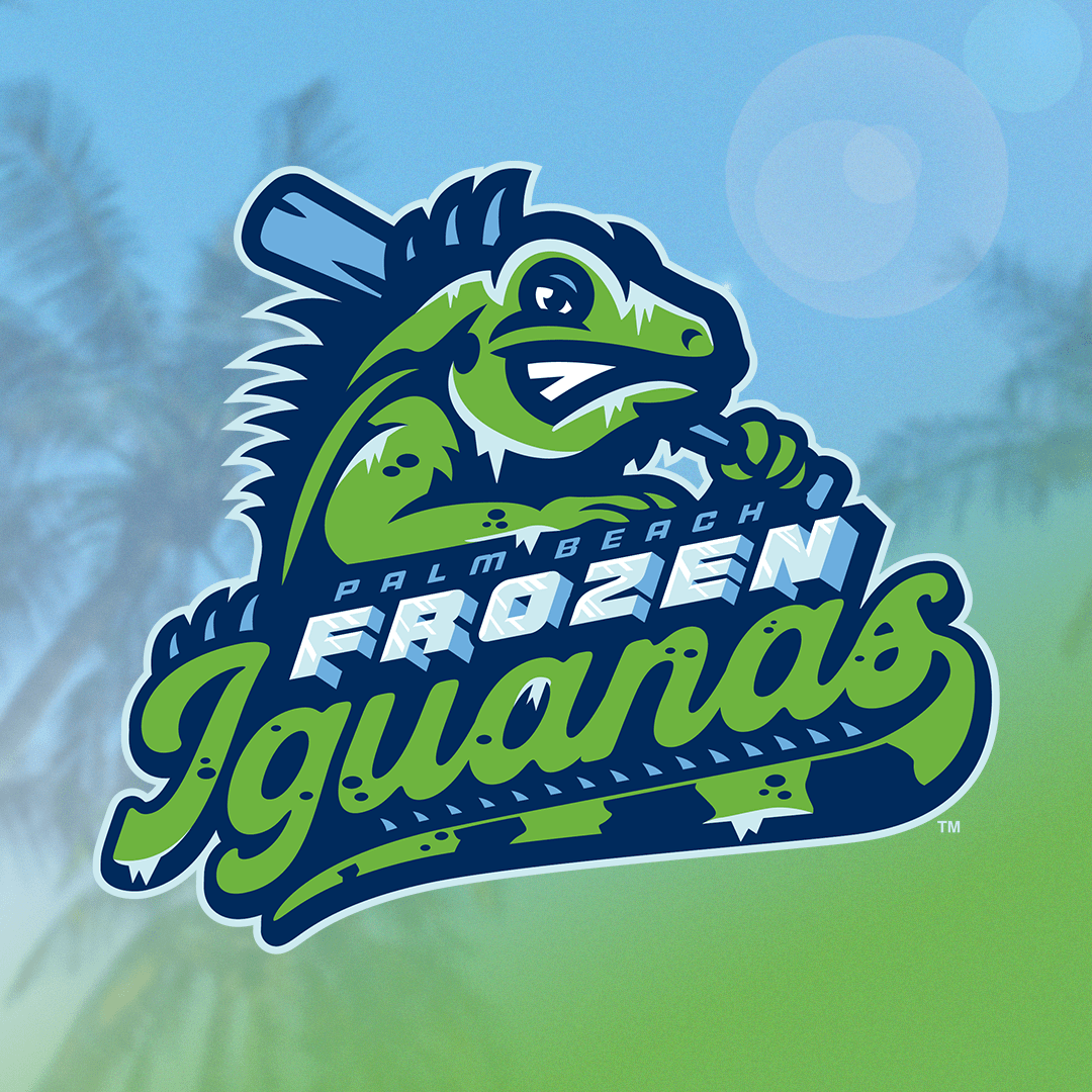 Palm Beach Frozen Iguanas