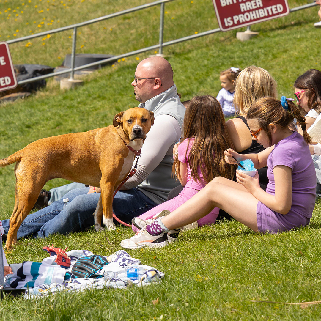 Bark in the Park