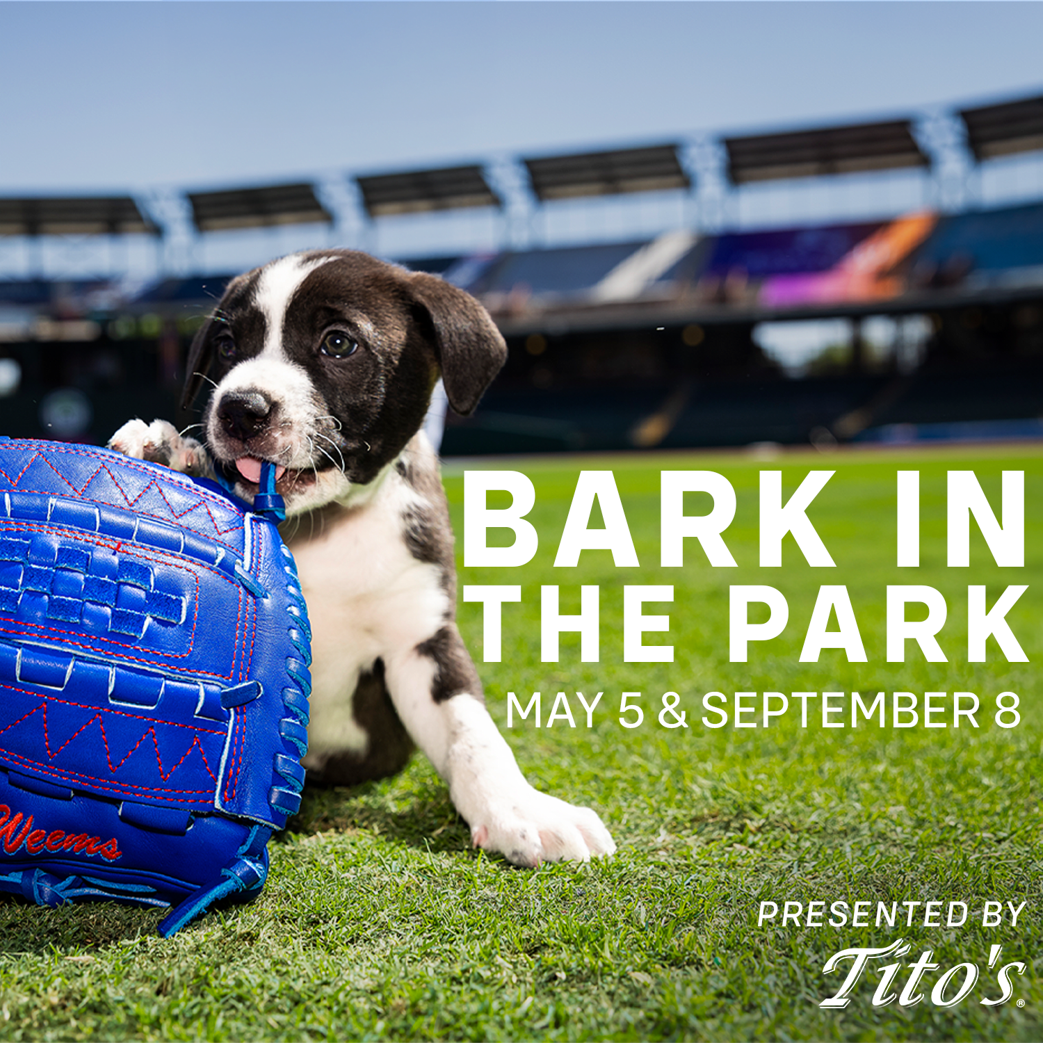 Bark in the Park presented by Tito's Handmade Vodka