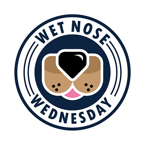 Wet Nose Wednesday