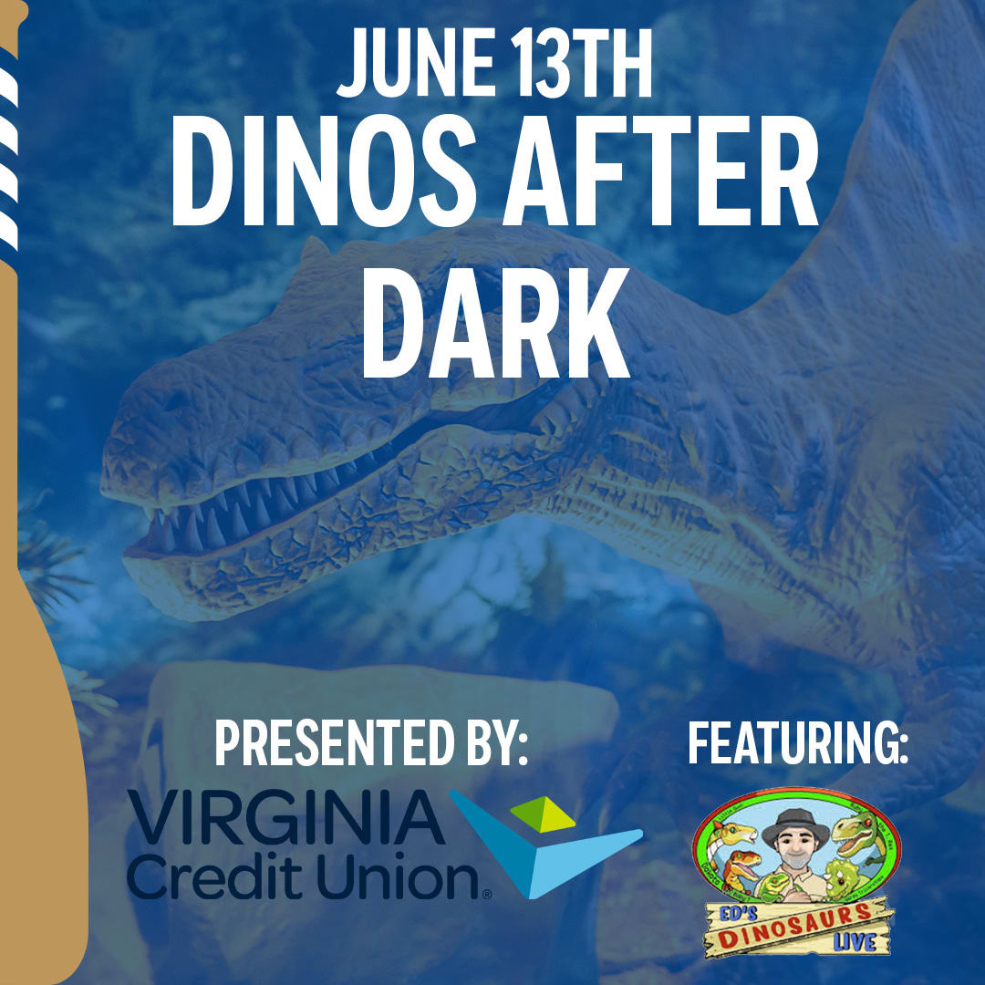 Dinos After Dark