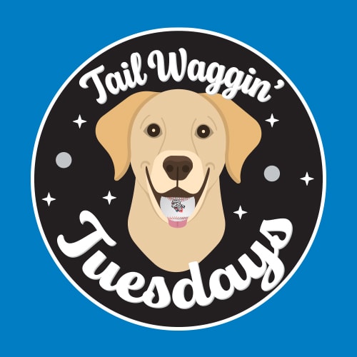 Tito's Tail Waggin' Tuesdays