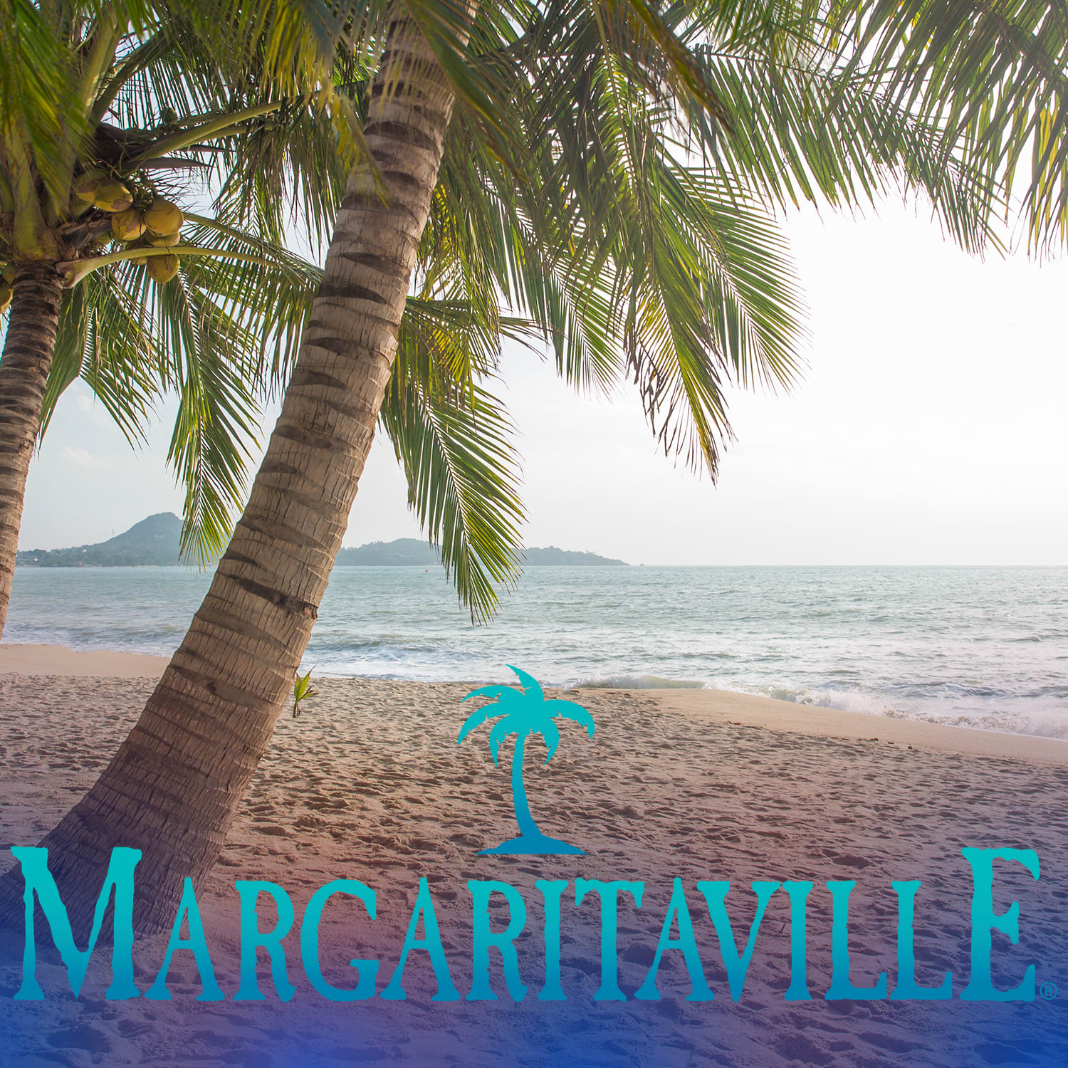 Margaritaville Night