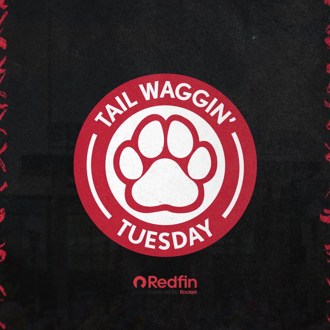 Tail Waggin' Tuesday