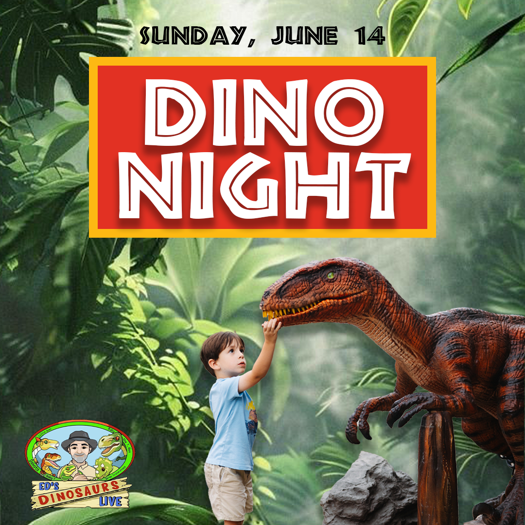Dino Night