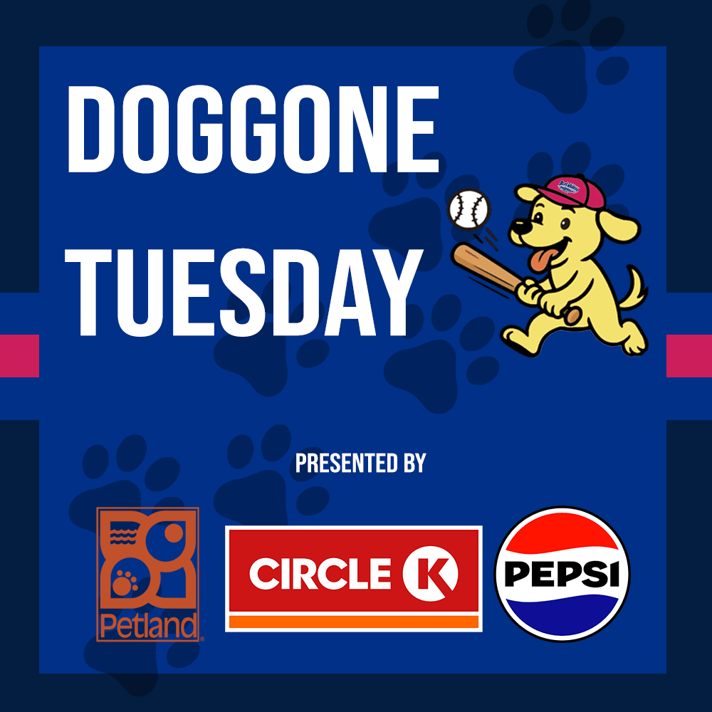 Doggone Tuesday