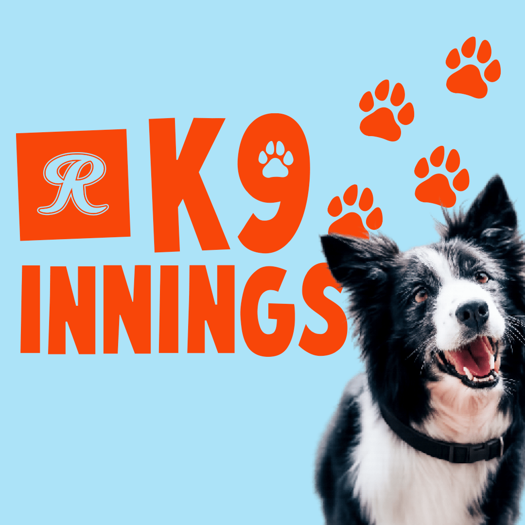 K9 Innings