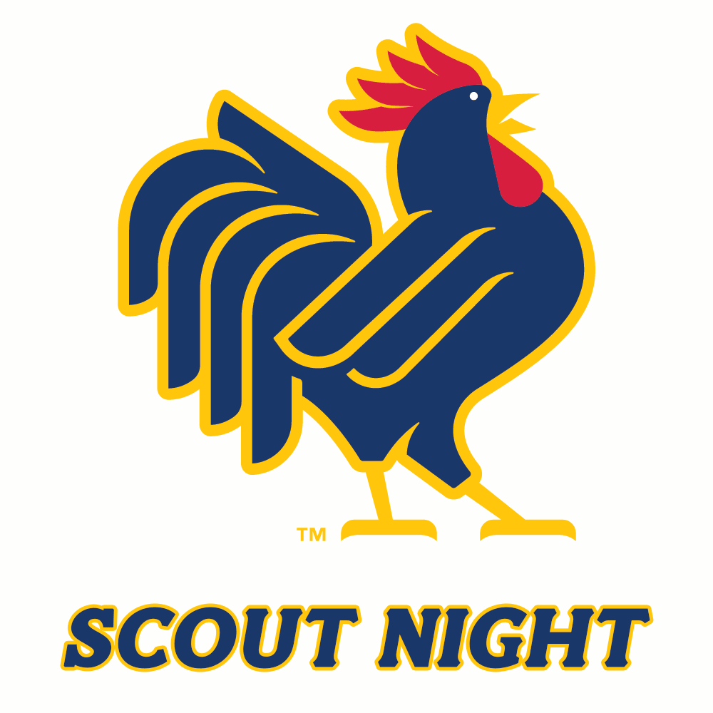 Scout Night