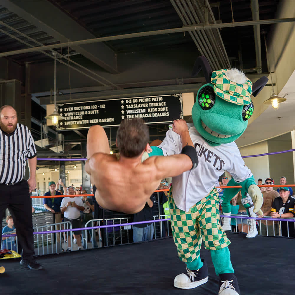 Auggie's Wrestling Birthday is Back!