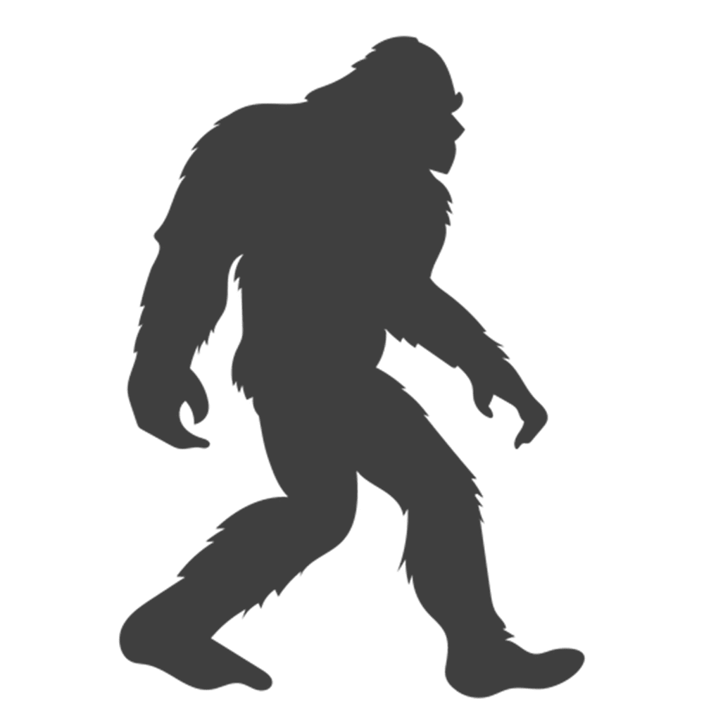 Bigfoot Bonanza