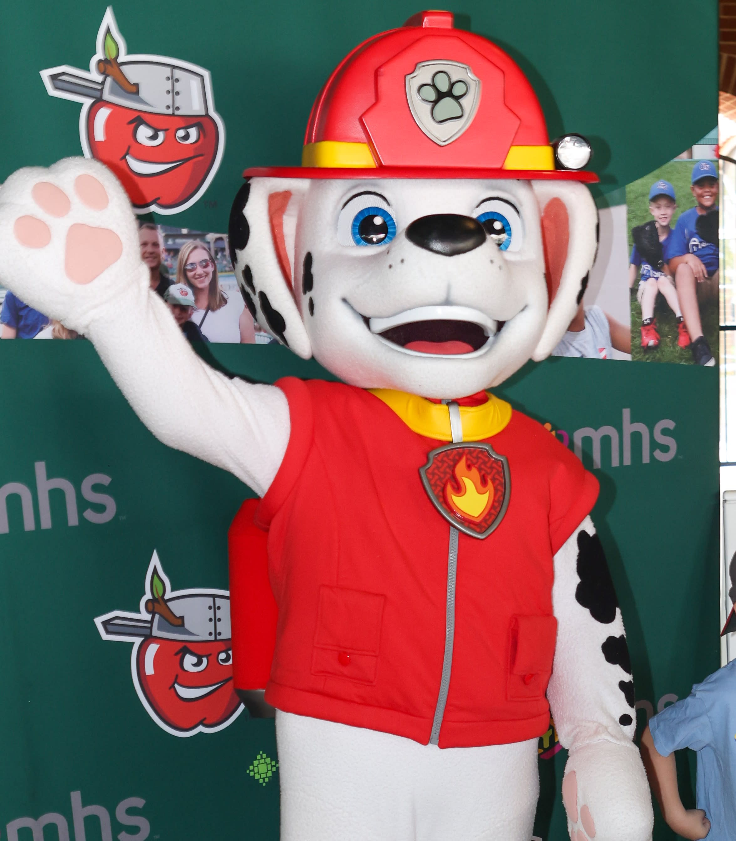 PAW Patrol™ Night with Marshall