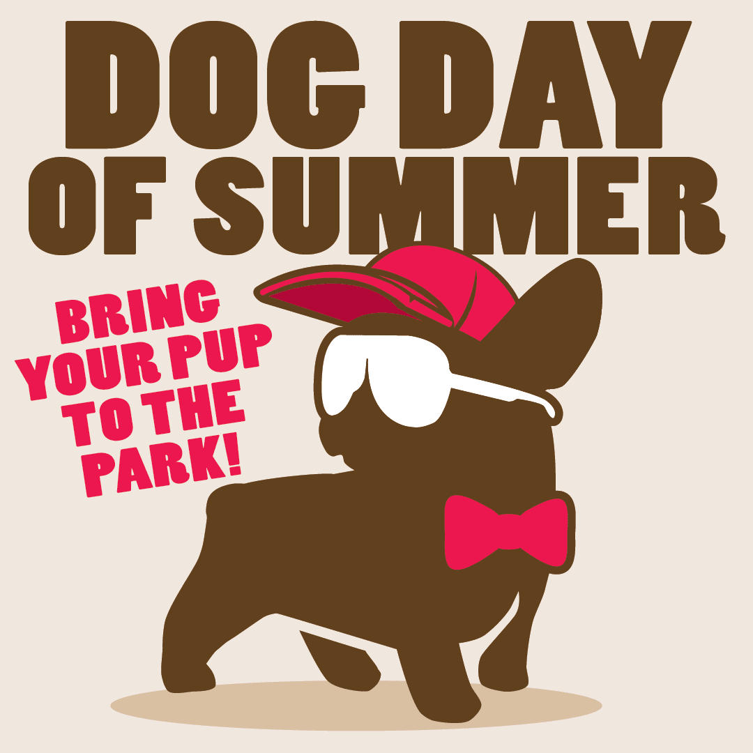 Dog Day of Summer
