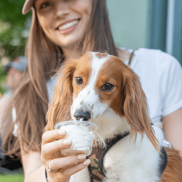 Bark in the Park
