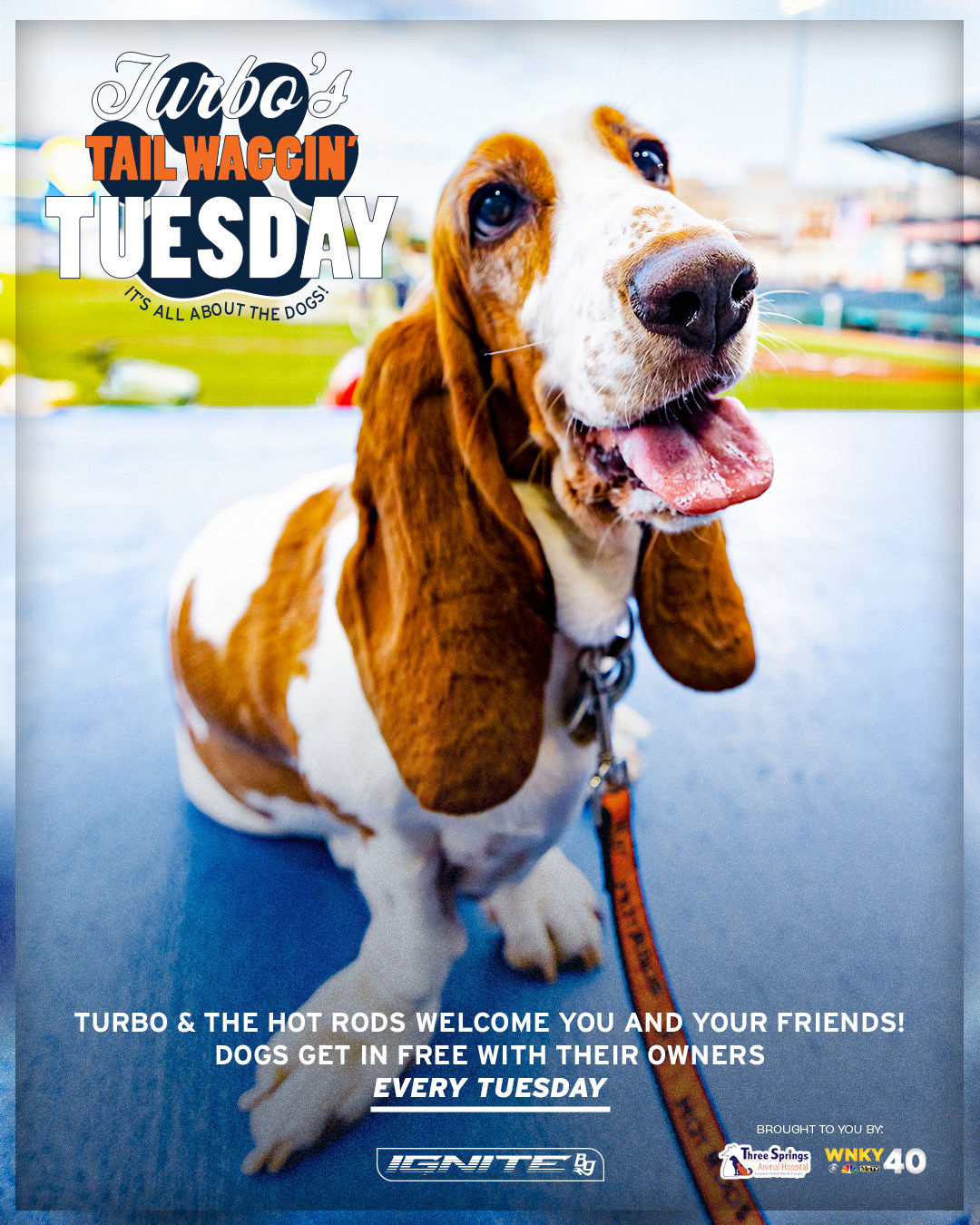 Turbo's Tailwaggin' Tuesdays