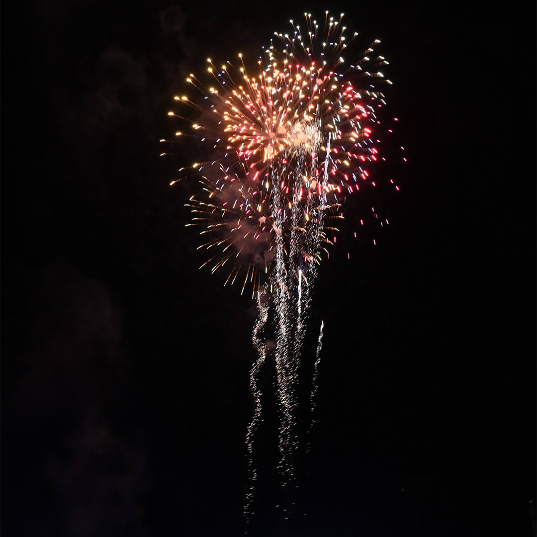 Fireworks - PA Virtual Charter School, Firetree, Ltd