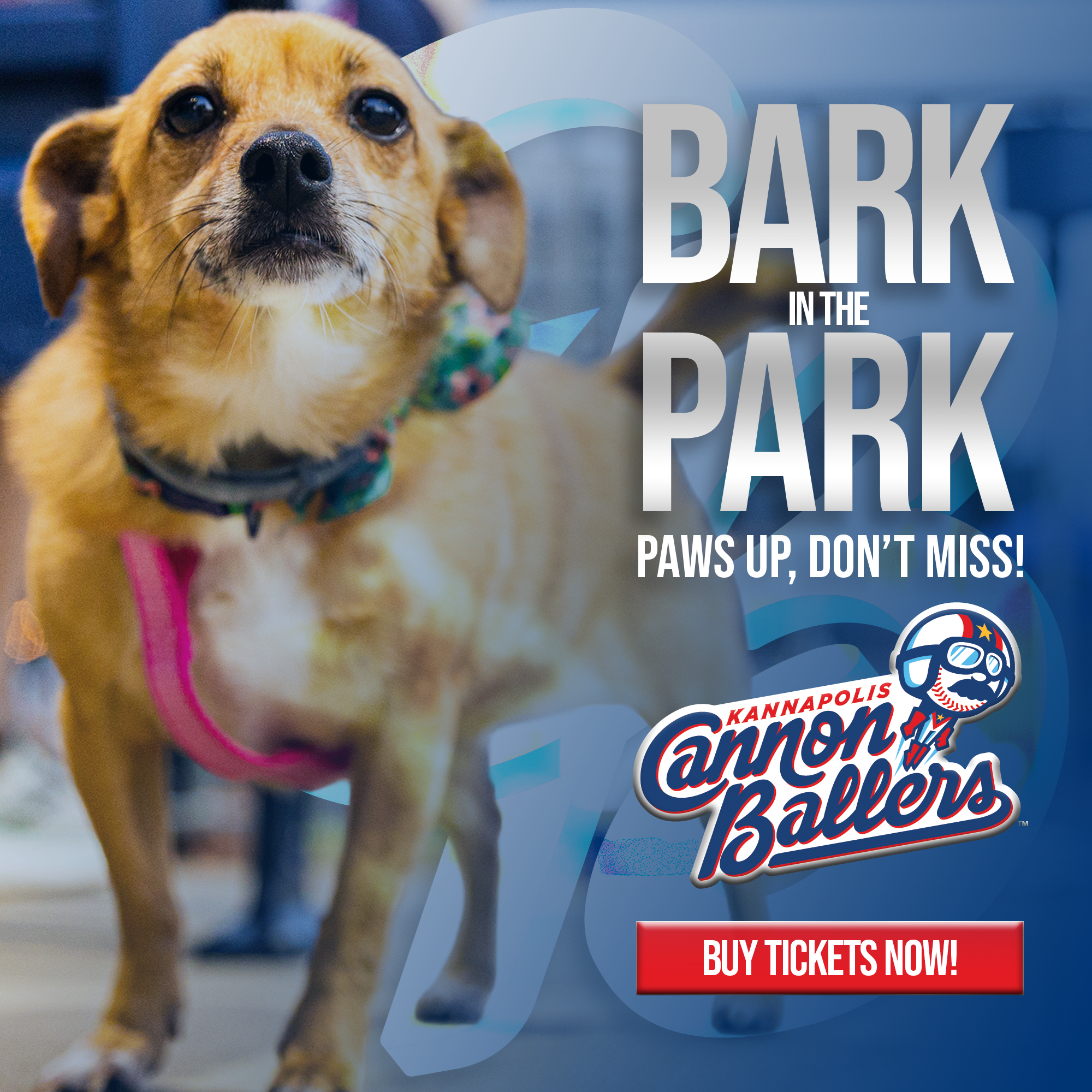 Bark in the Park